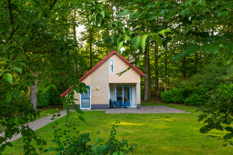 Podstawowe zasady budowy domu na działce leśnej