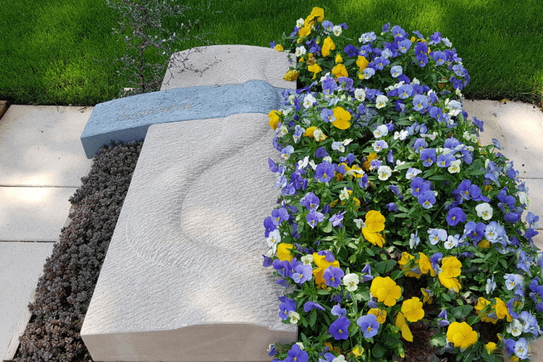 Kwiaty na cmentarz, które nie wymagają podlewania: Poznaj nasze propozycje